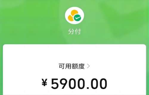 分付额度能不能套出来用，这个是怎么收费的！