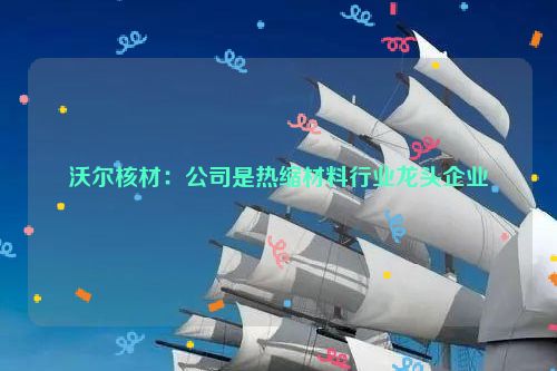 沃尔核材：公司是热缩材料行业龙头企业