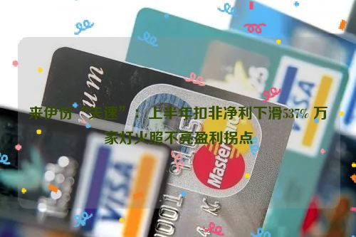 来伊份“失速”：上半年扣非净利下滑537% 万家灯火照不亮盈利拐点