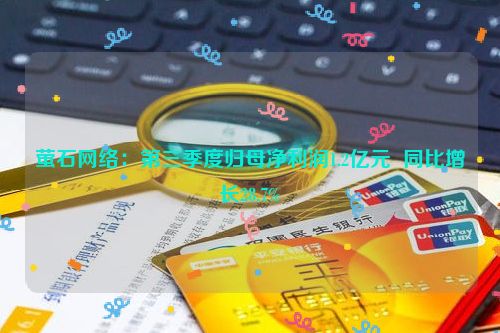 萤石网络：第三季度归母净利润1.2亿元  同比增长28.7%