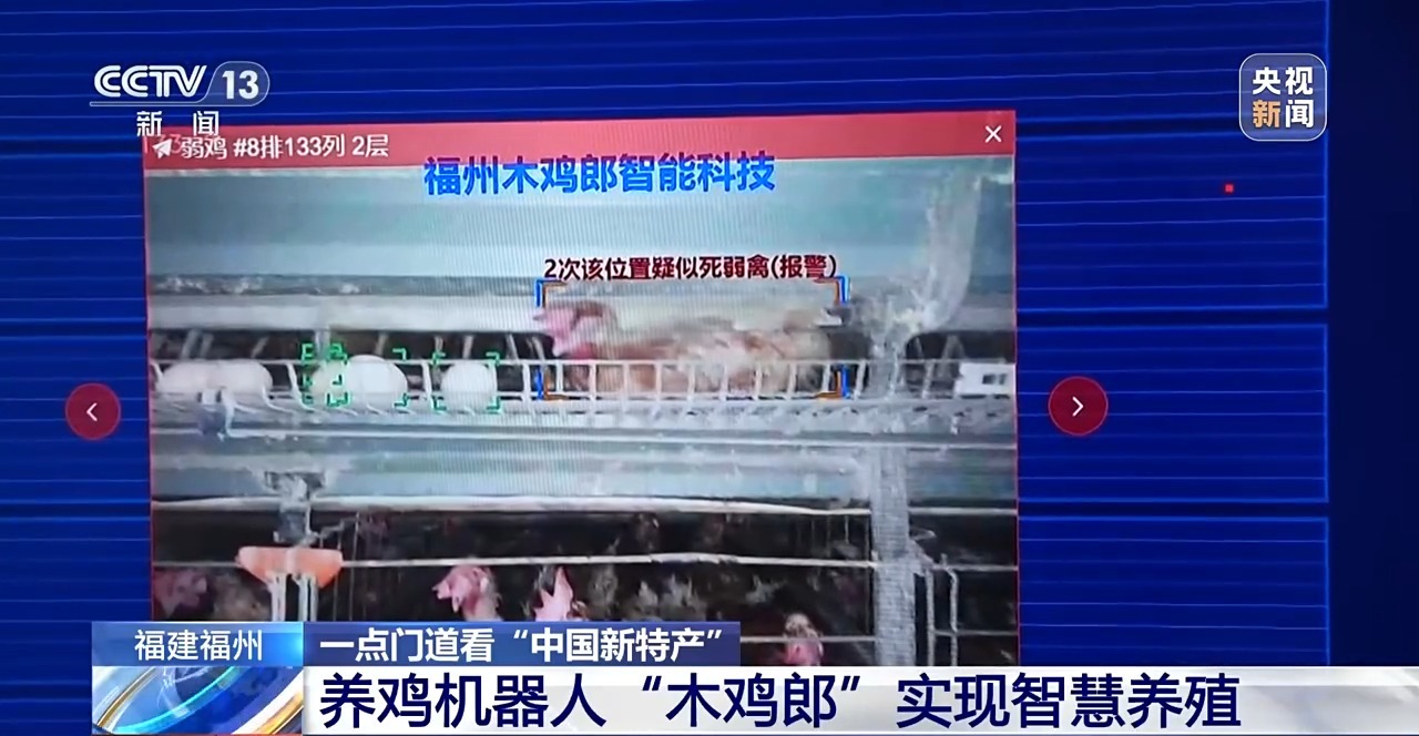 国外鸡蛋价格飞涨 我们的蛋价为何稳得住 第13张