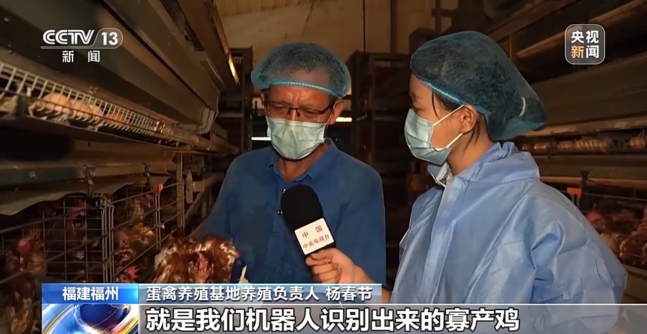 国外鸡蛋价格飞涨 我们的蛋价为何稳得住 第14张