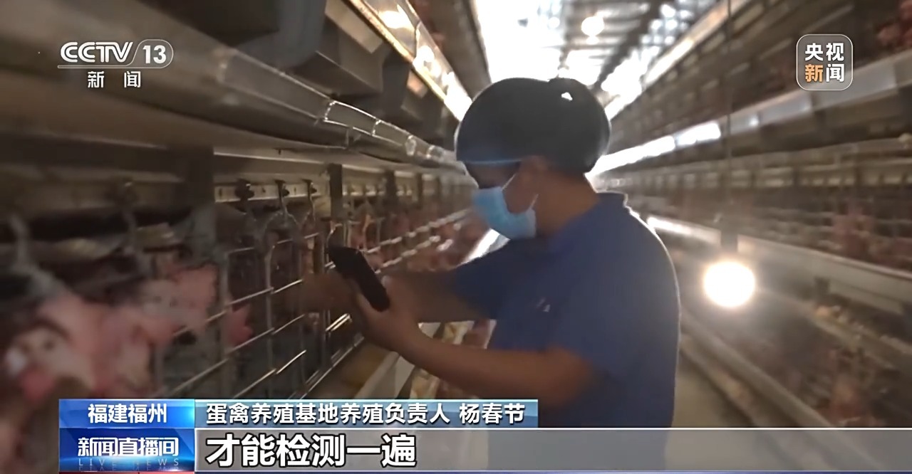 国外鸡蛋价格飞涨 我们的蛋价为何稳得住 第16张