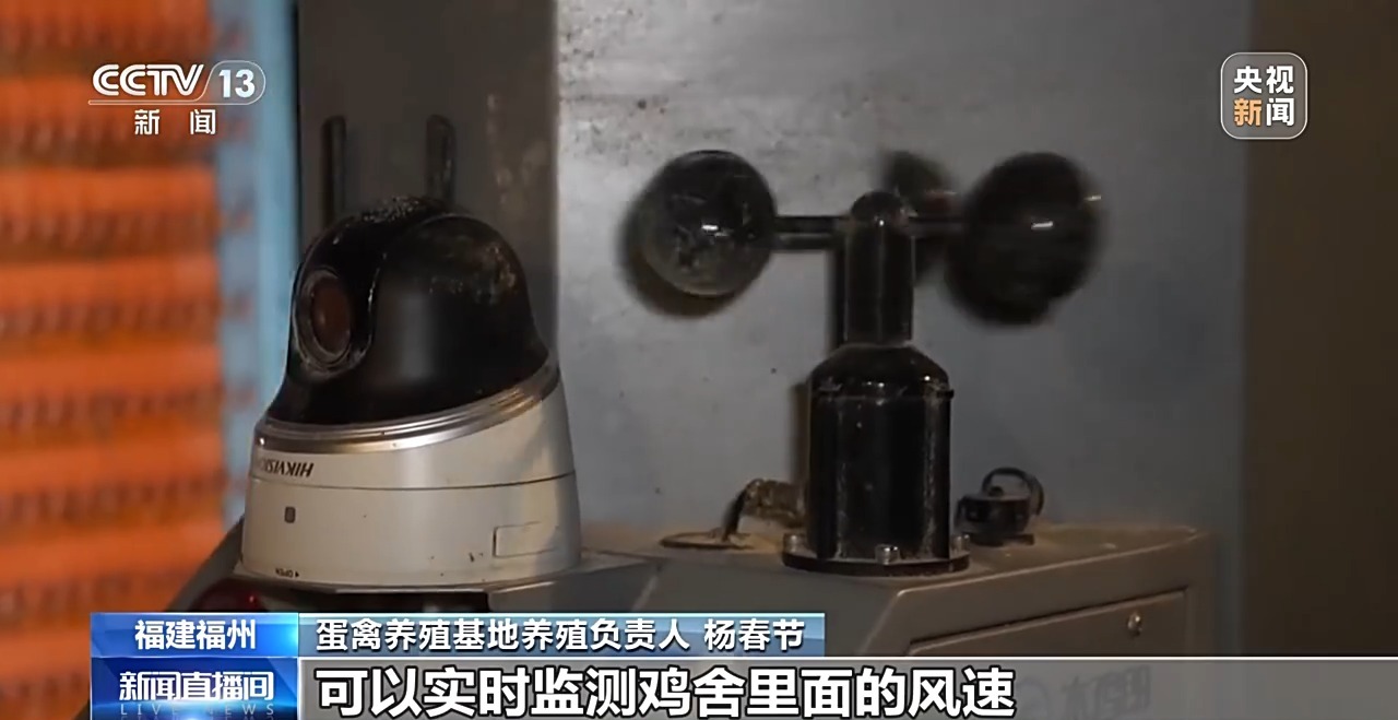 国外鸡蛋价格飞涨 我们的蛋价为何稳得住 第17张