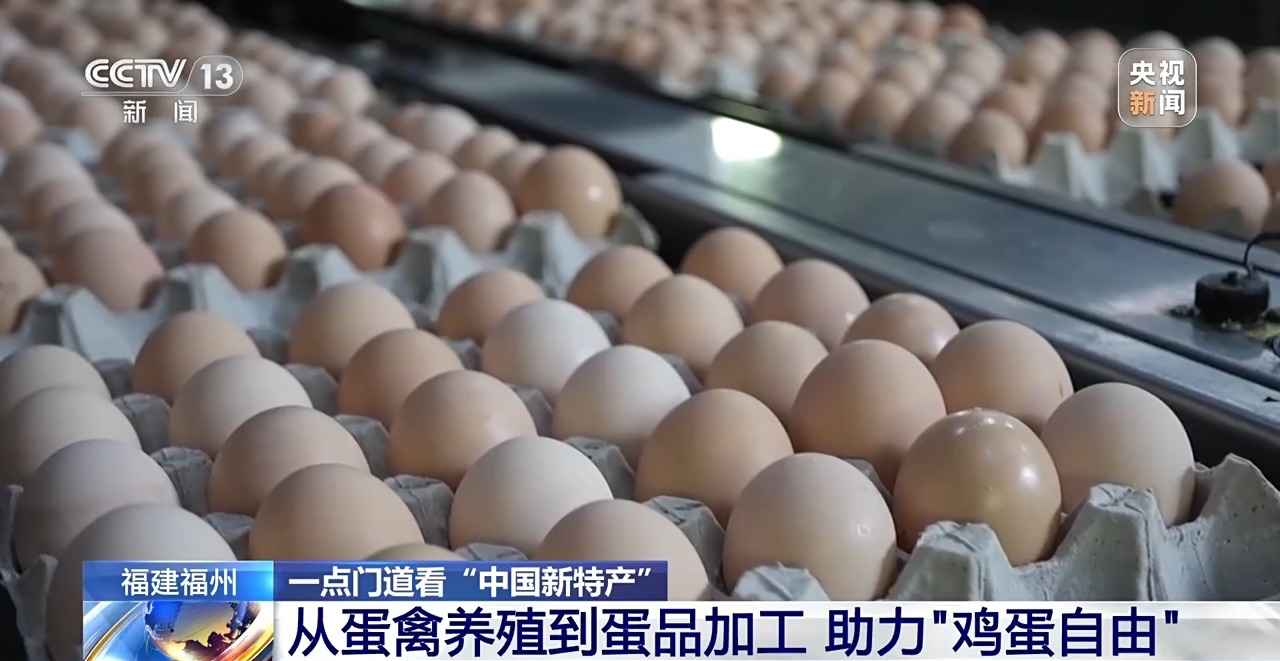 国外鸡蛋价格飞涨 我们的蛋价为何稳得住 第20张