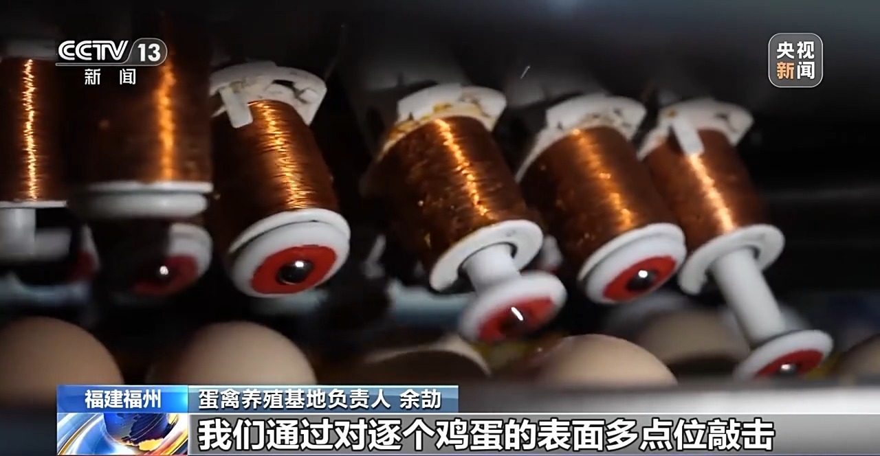 国外鸡蛋价格飞涨 我们的蛋价为何稳得住 第22张