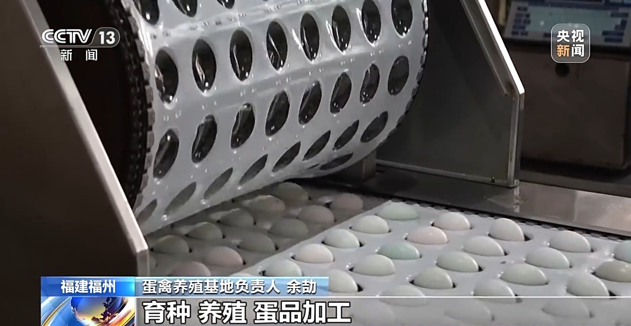 国外鸡蛋价格飞涨 我们的蛋价为何稳得住 第25张